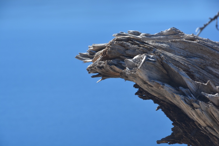 log jetting into blue background